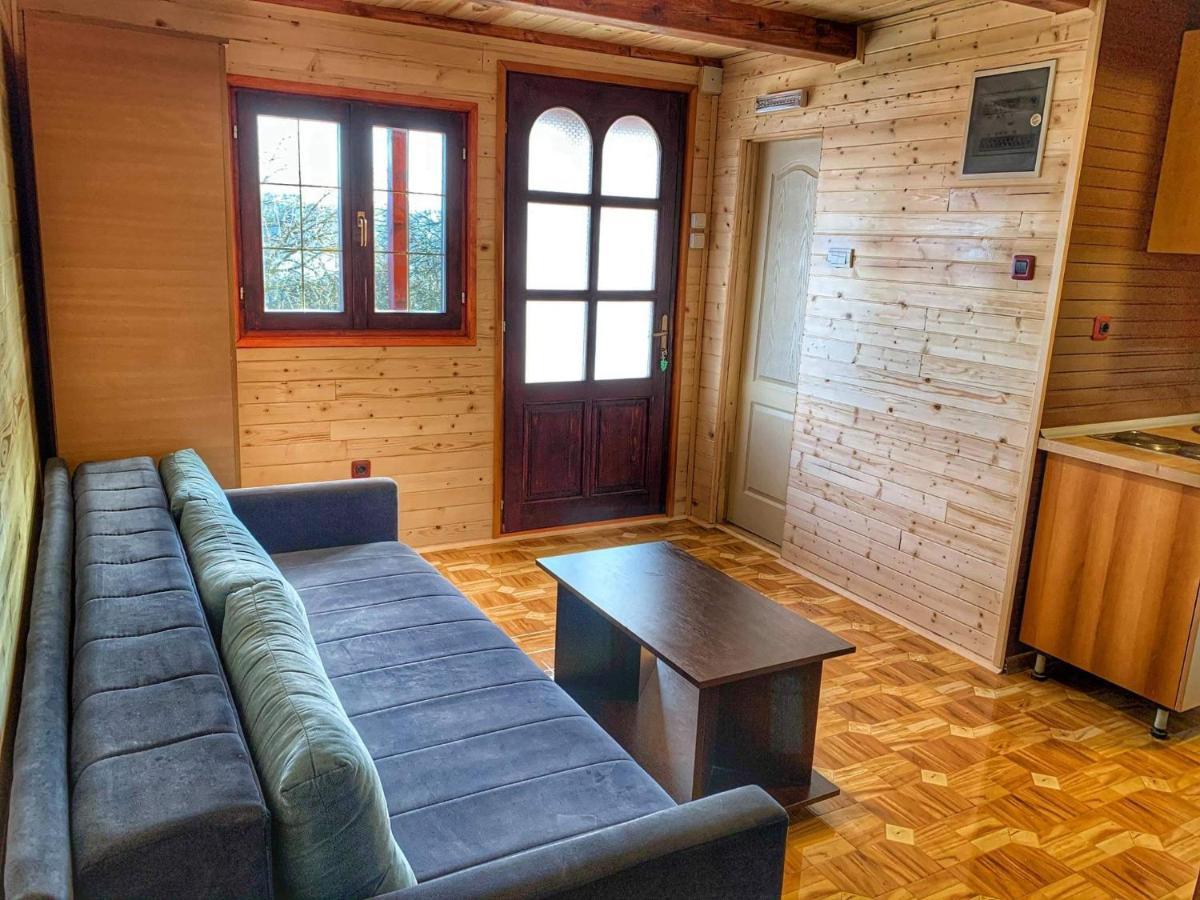 Brvnare Cirkovic Villa Zlatibor Bagian luar foto