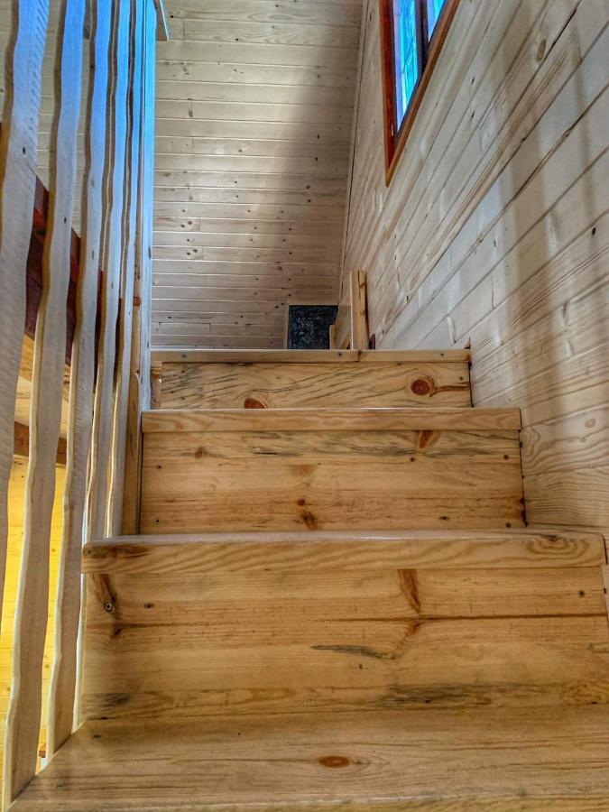 Brvnare Cirkovic Villa Zlatibor Bagian luar foto