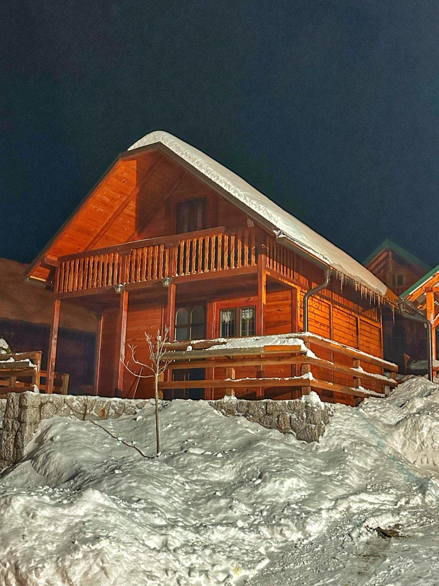 Brvnare Cirkovic Villa Zlatibor Bagian luar foto