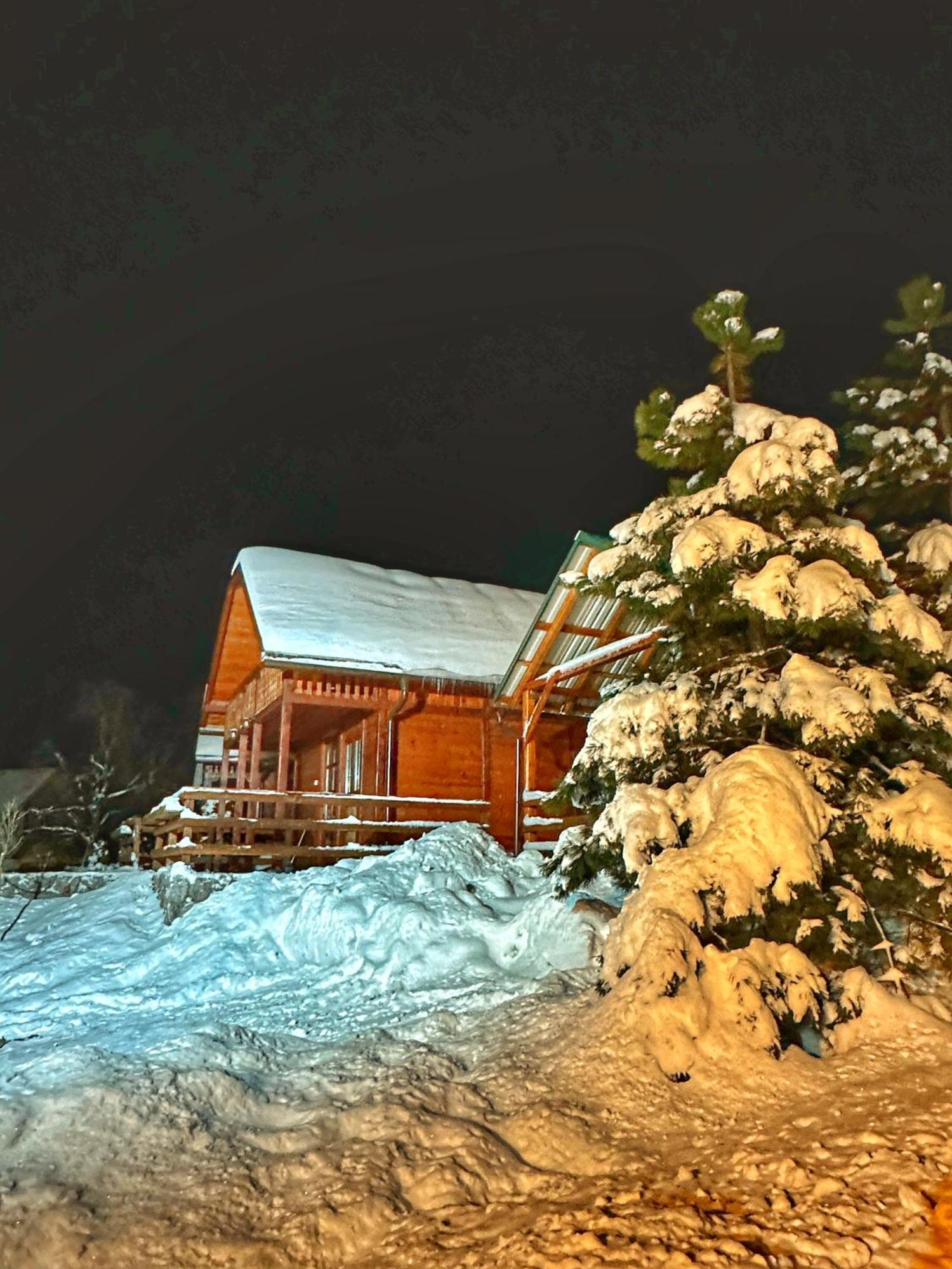 Brvnare Cirkovic Villa Zlatibor Bagian luar foto
