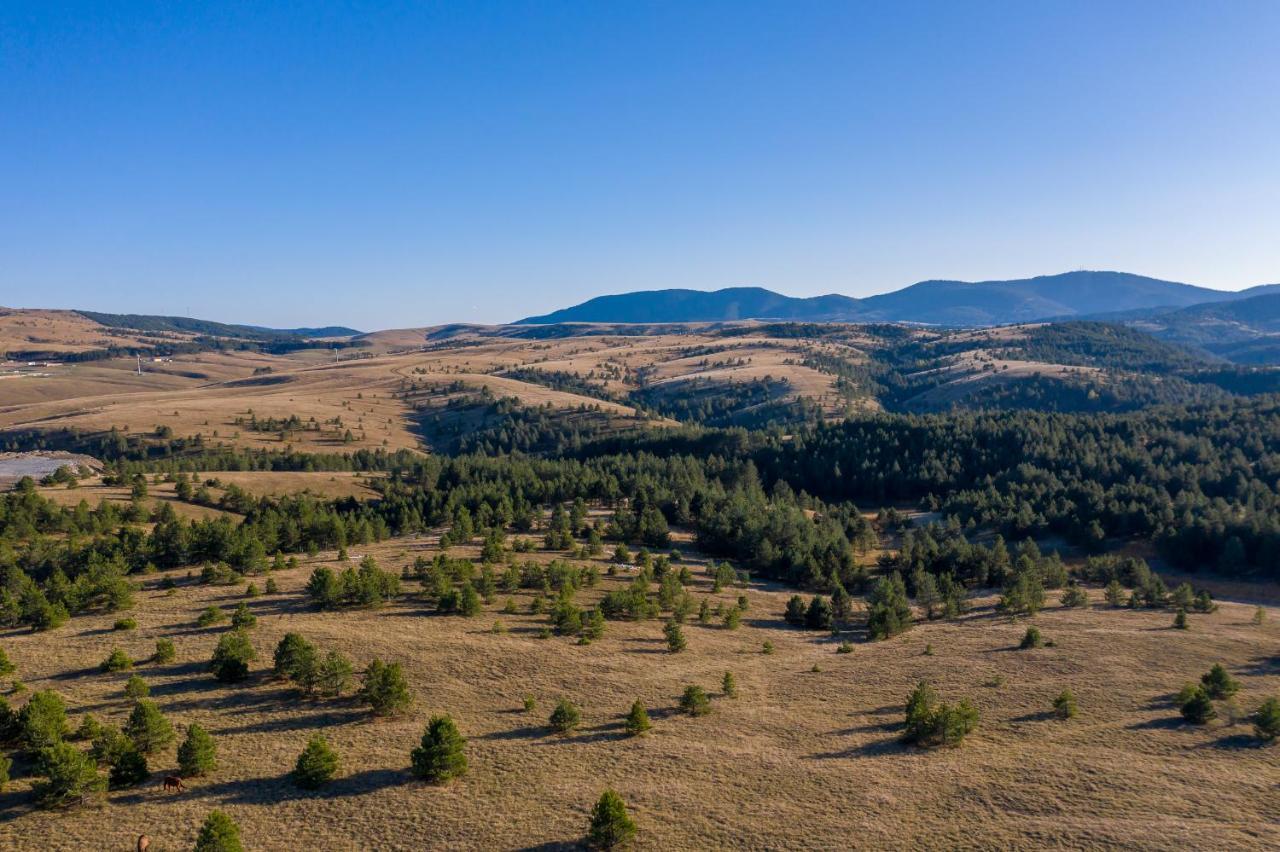 Brvnare Cirkovic Villa Zlatibor Bagian luar foto