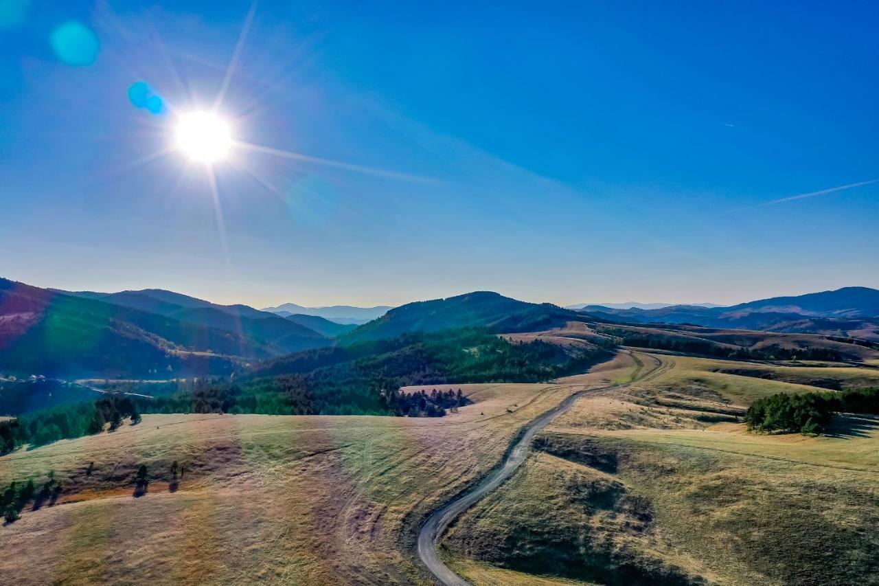 Brvnare Cirkovic Villa Zlatibor Bagian luar foto